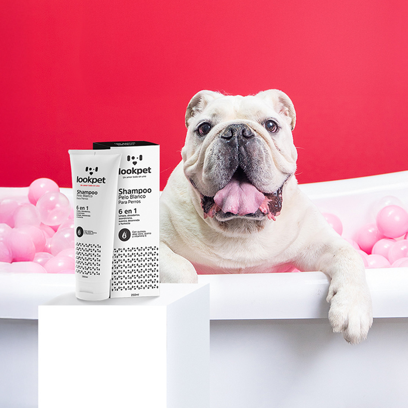 DÚO SIEMPRE RADIANTE