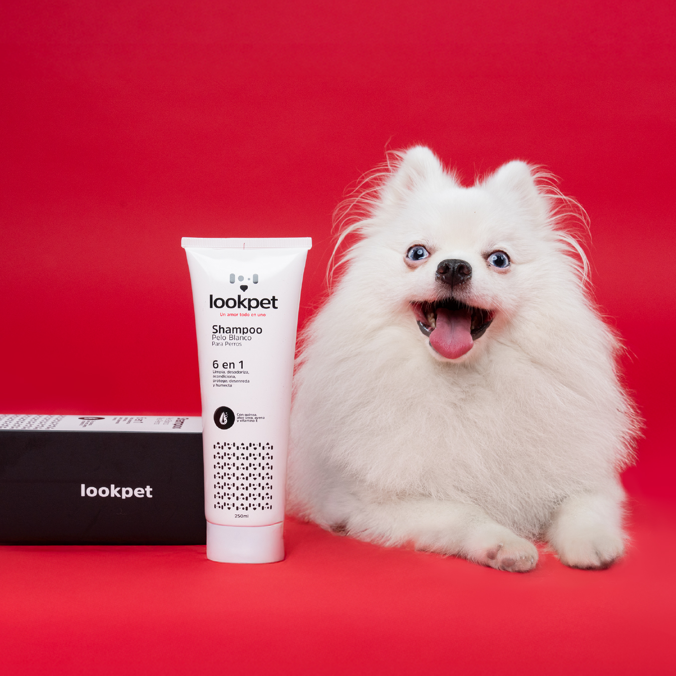 Kit blanco impecable