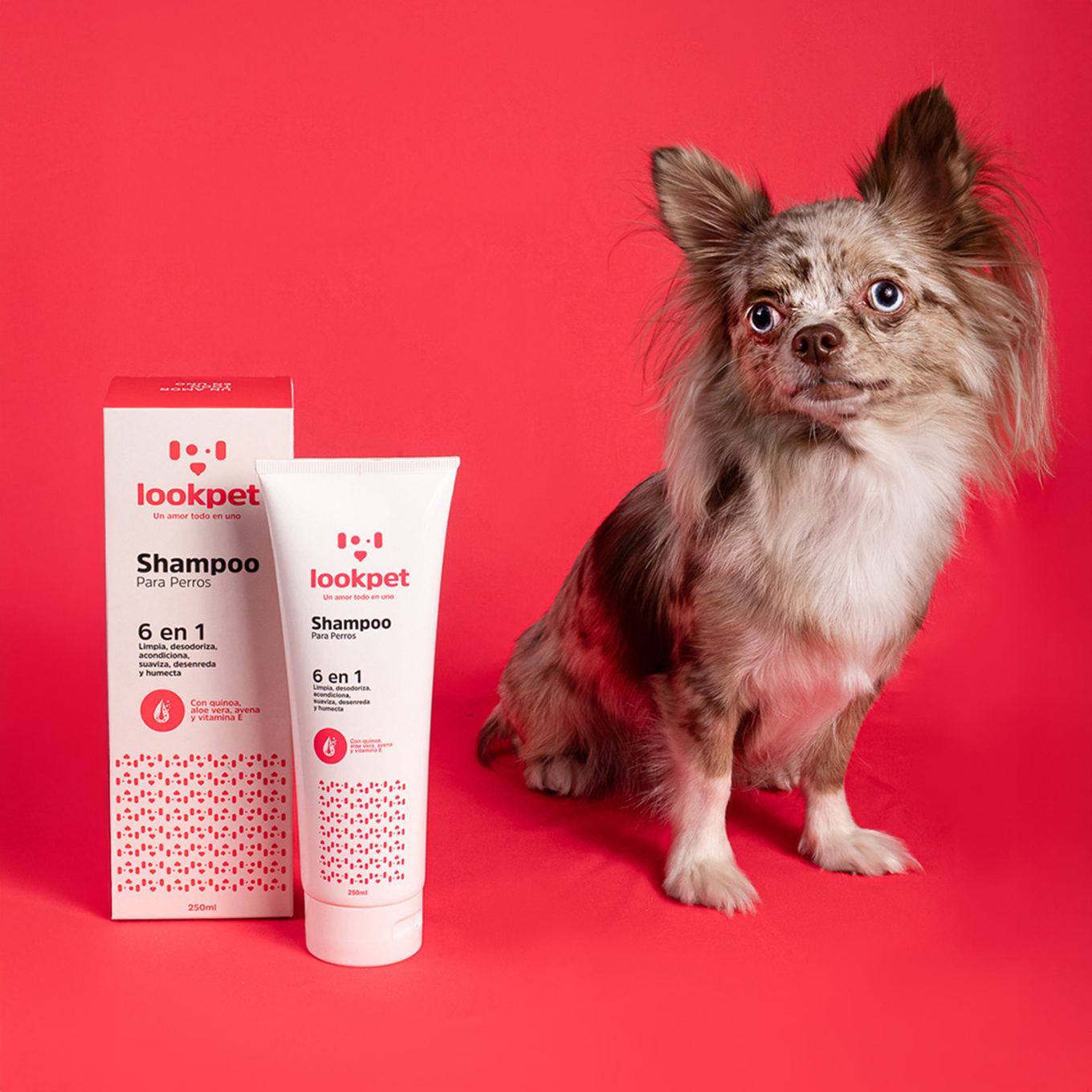 KIT ESENCIAL AMOR 6EN1