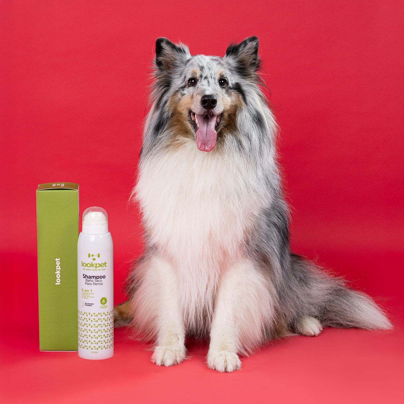 Shampoo Baño Seco 6 en 1 para Perros
