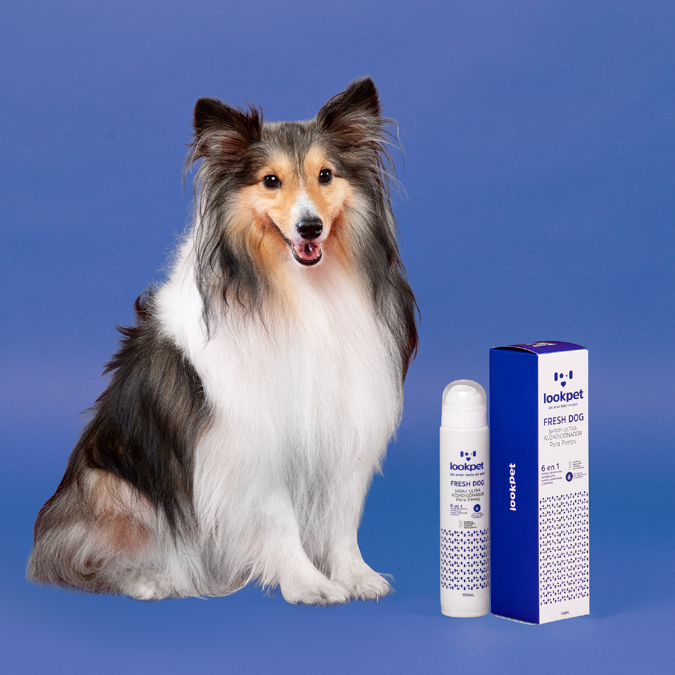 DÚO SIEMPRE RADIANTE