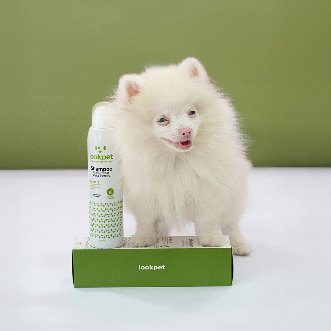 Shampoo Baño Seco 6 en 1 para Perros