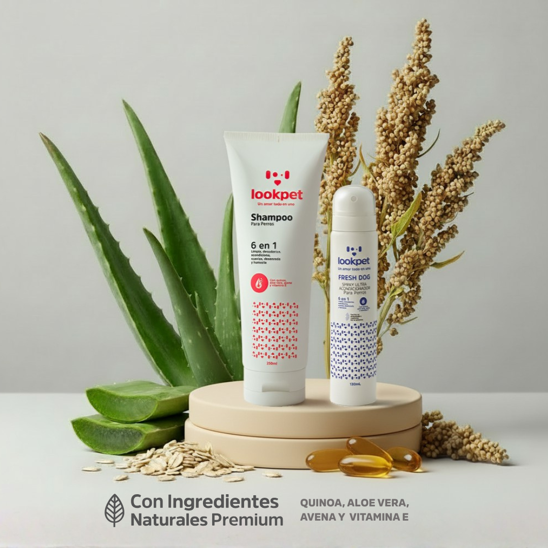 DÚO AMOR TODO EN UNO