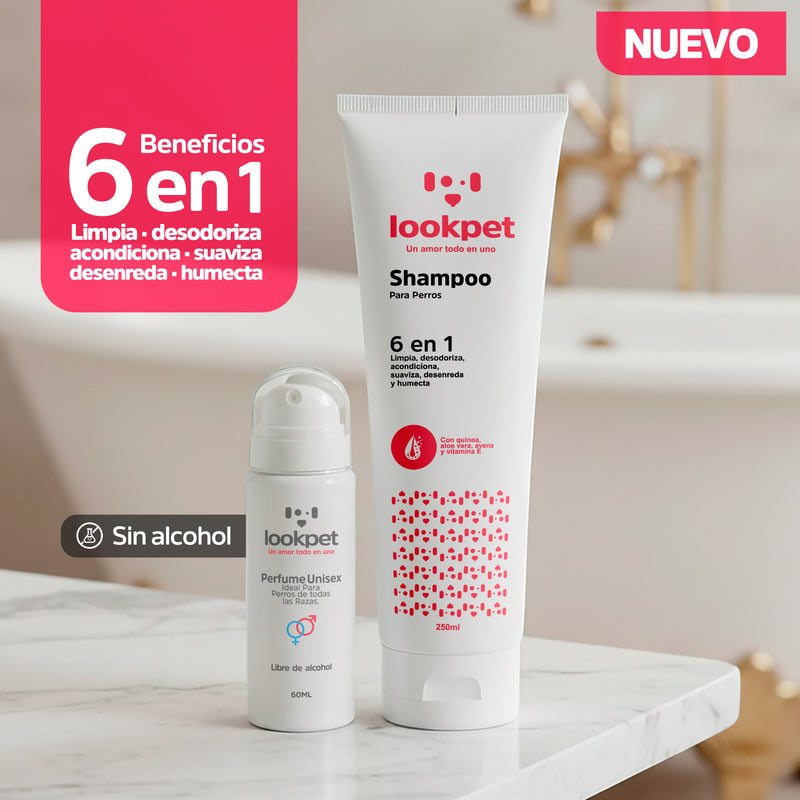 DÚO ESENCIAL - vista 2