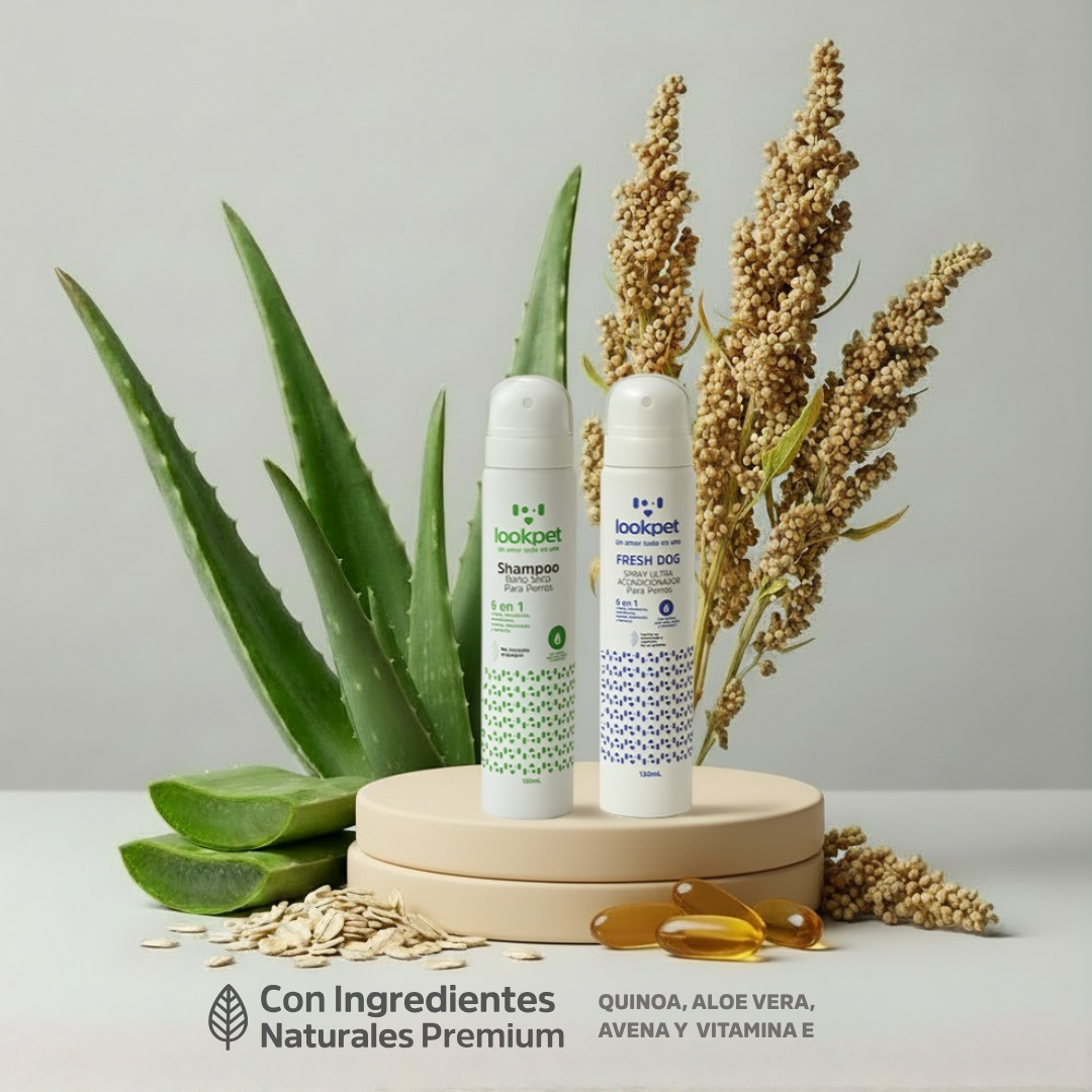 DÚO LISTO EN UN INSTANTE