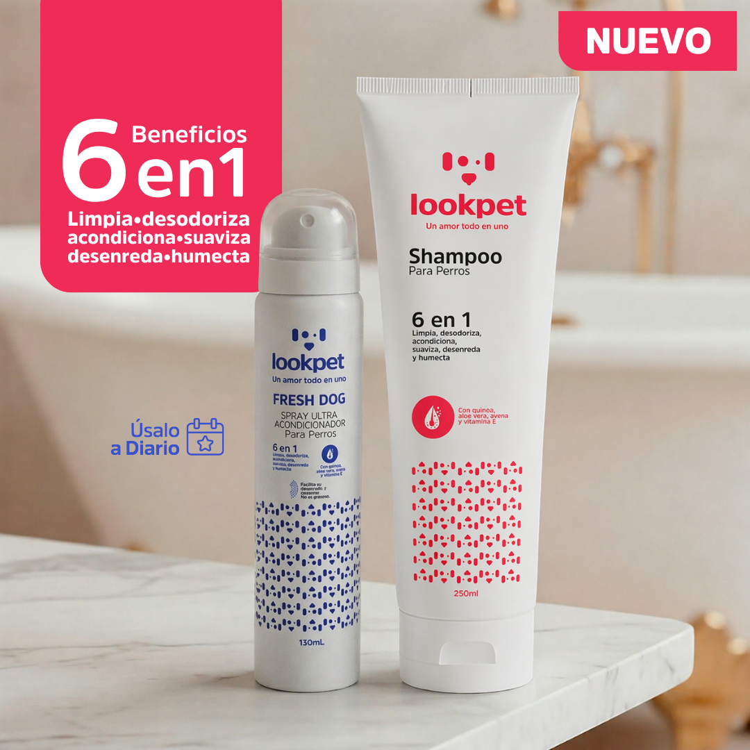 DÚO AMOR TODO EN UNO