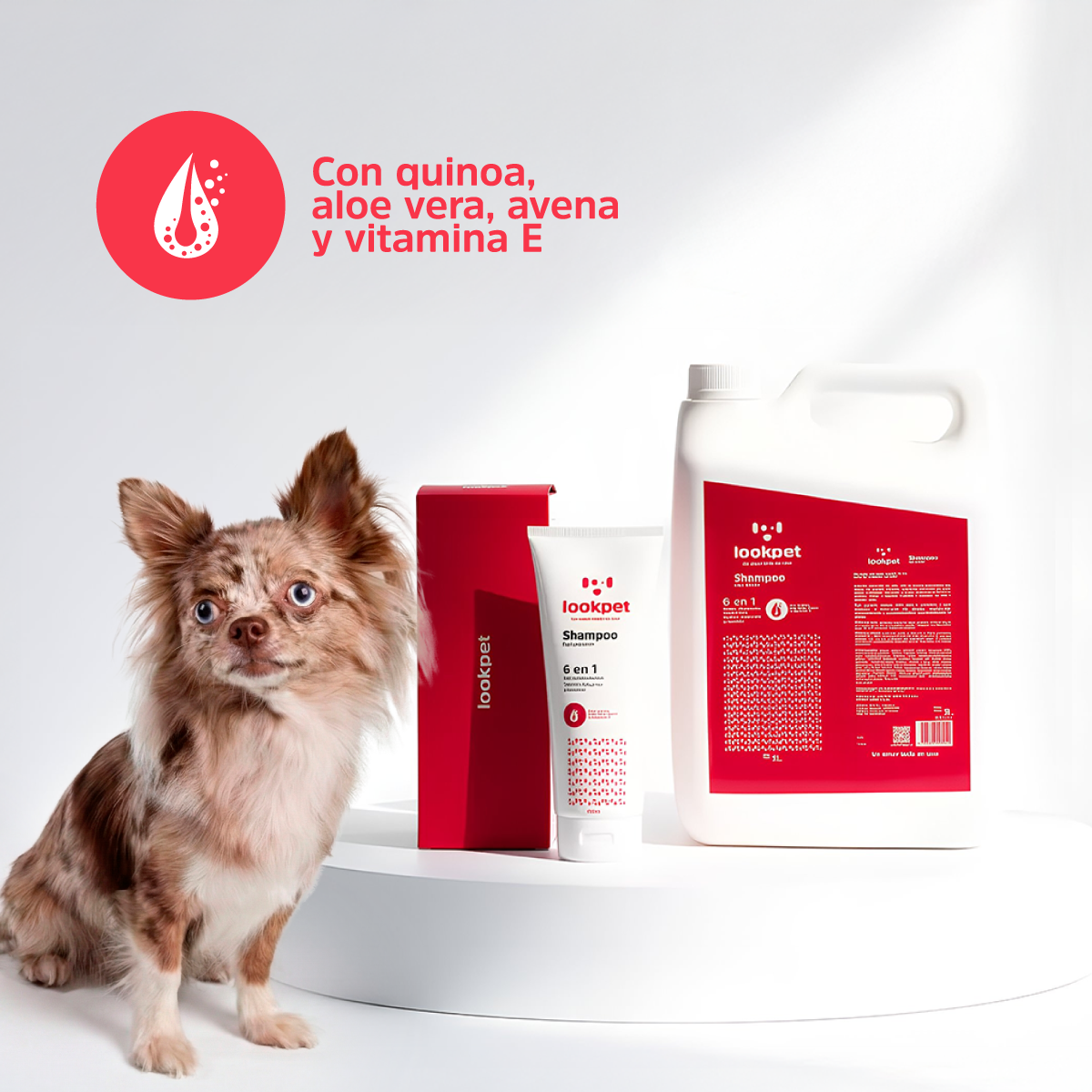 Shampoo 6 en 1 para Perros de Todas las Razas - 5L