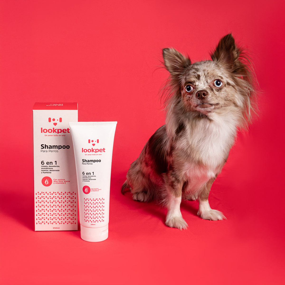 Shampoo 6 en 1 LookPet para perros de todas las razas, envase de 250 ml — imagen 9